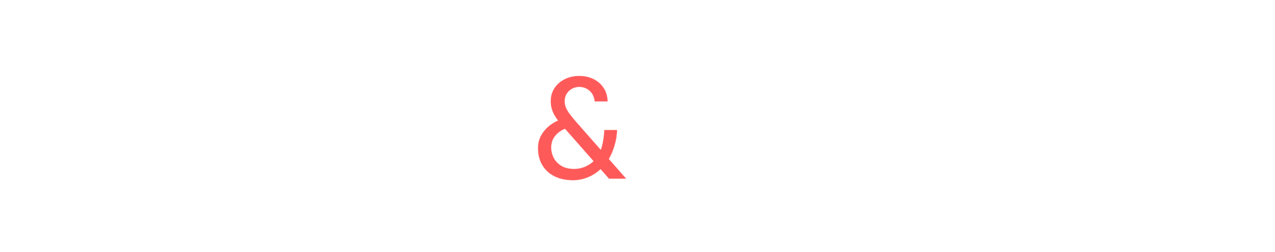 Pulsim&Partners_Logo_1_RVB